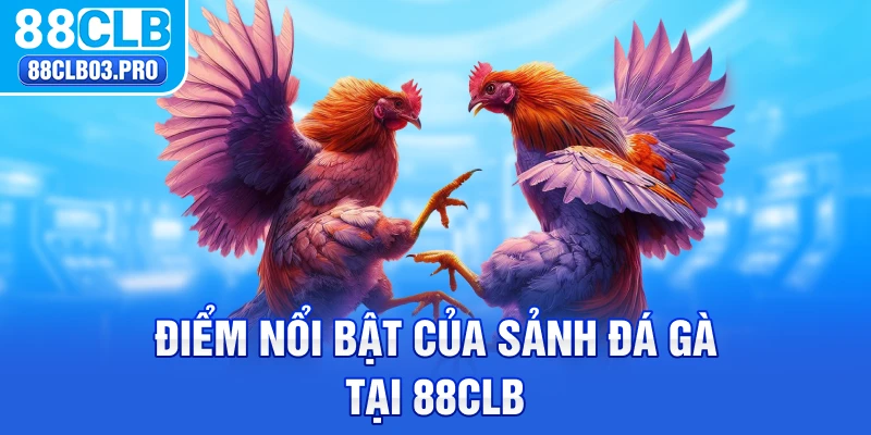 Điểm nổi bật của sảnh đá gà tại 88CLB