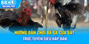 Hướng Dẫn Chơi Đá Gà Cựa Sắt Trực Tuyến Cùng 88CLB