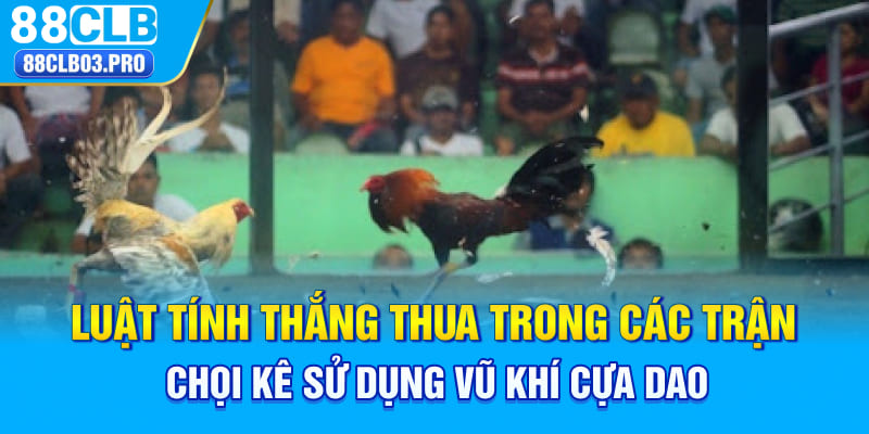 Luật tính thắng thua trong các trận chọi kê sử dụng vũ khí cựa dao