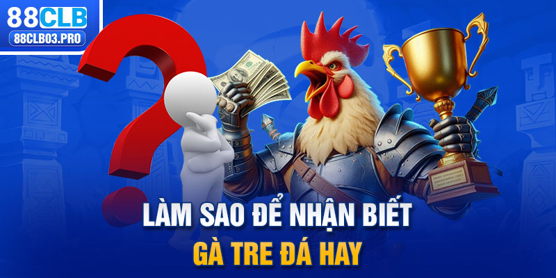 Làm sao để nhận biết gà tre đá hay