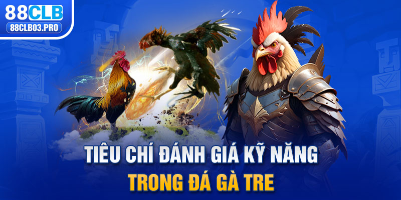 Tiêu chí đánh giá kỹ năng trong đá gà tre